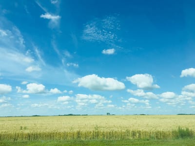 写真整理のお手伝いします image