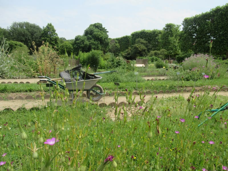 JARDIN PARTAGE