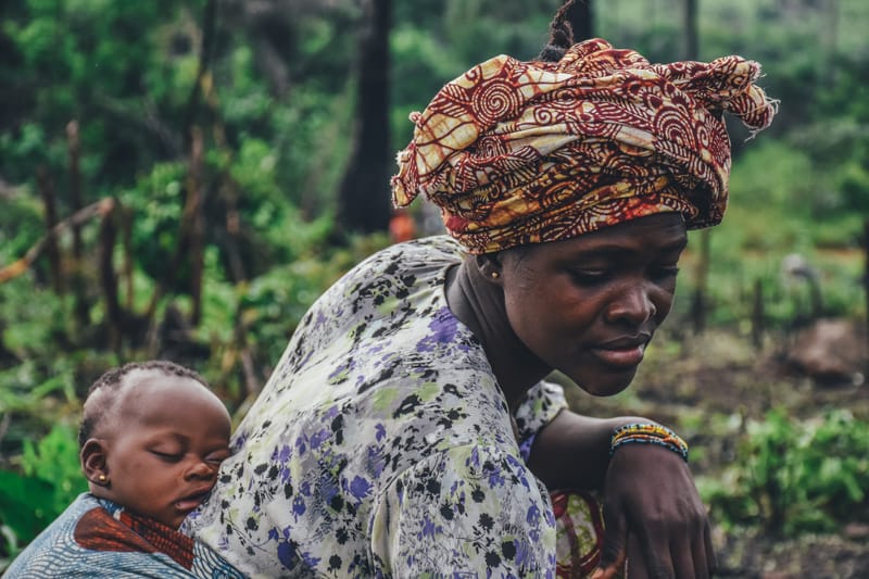 Tailor-Made African Safaris: Your Ultimate Guide