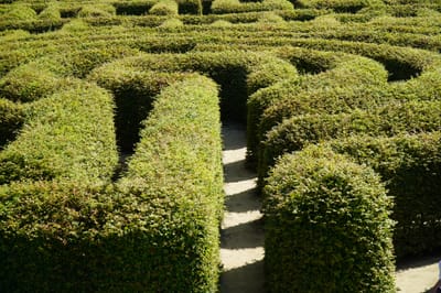 Navigation durch das grüne Labyrinth: Strategische Prioritäten im Bereich Sustainable Finance