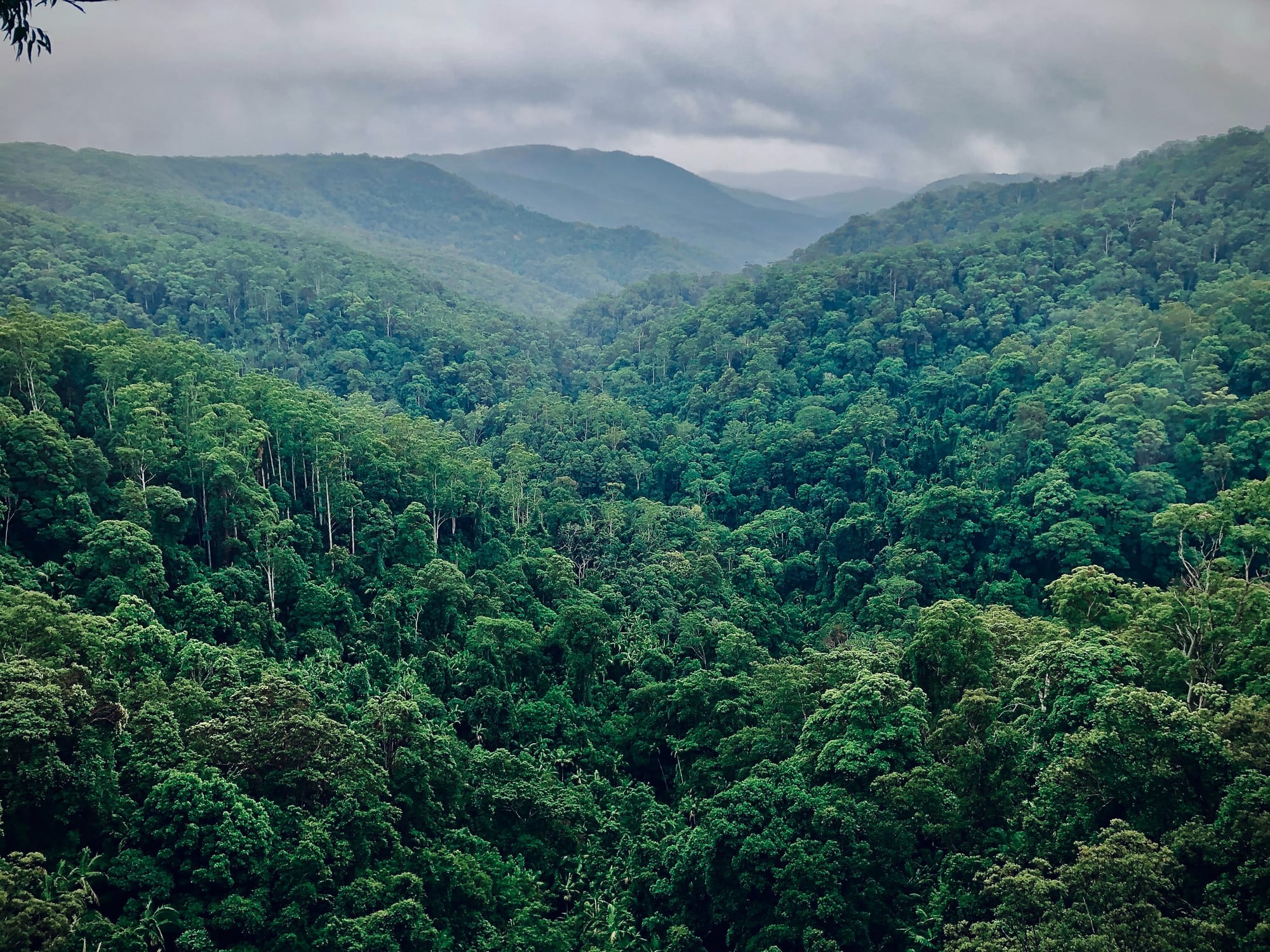 Climate on the Eastern Coast of Madagascar, from Foulpointe to Tamatave