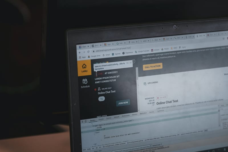 DOMAIN & WEB HOSTING