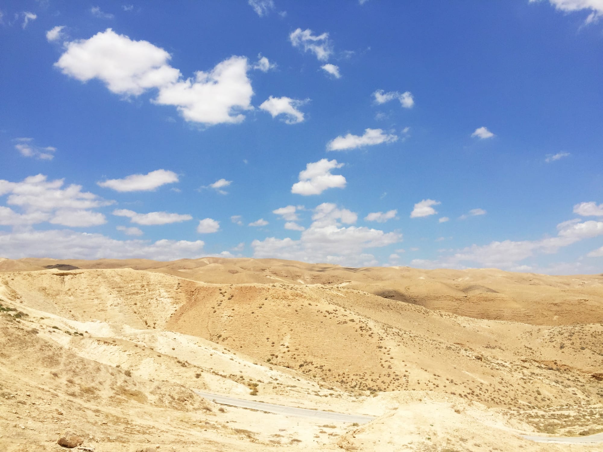 "ואיפה יריחו שלנו - אנחנו שוכחים את זה?!" - סנהדרין קיג, א