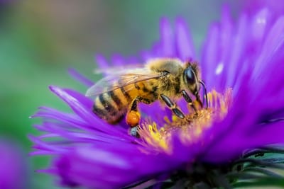 Nutrition and Feeding image