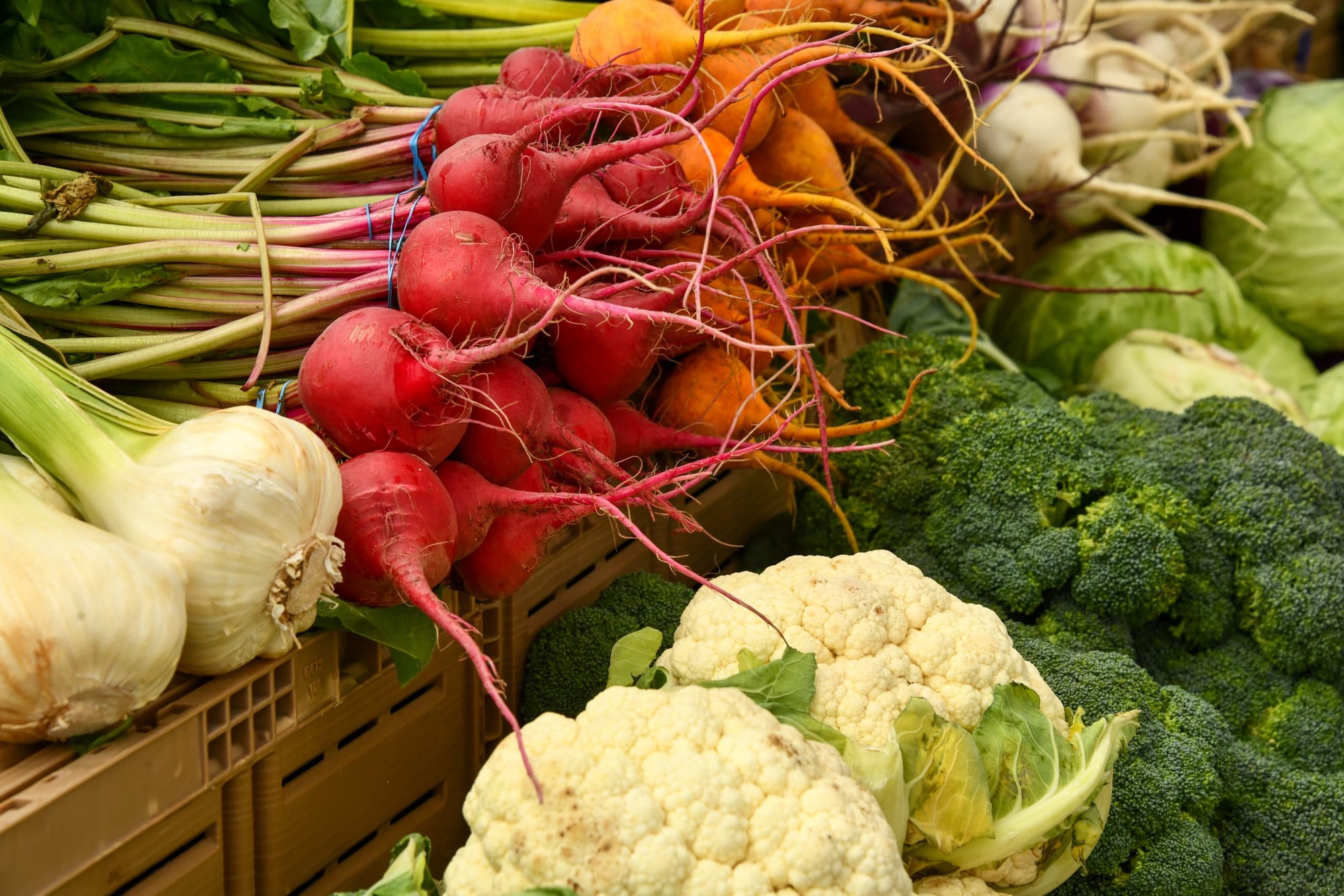 Preserving Some of the Harvest