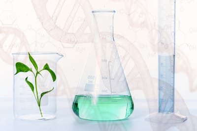 Biobased Succinic acid (Biosuccinium)