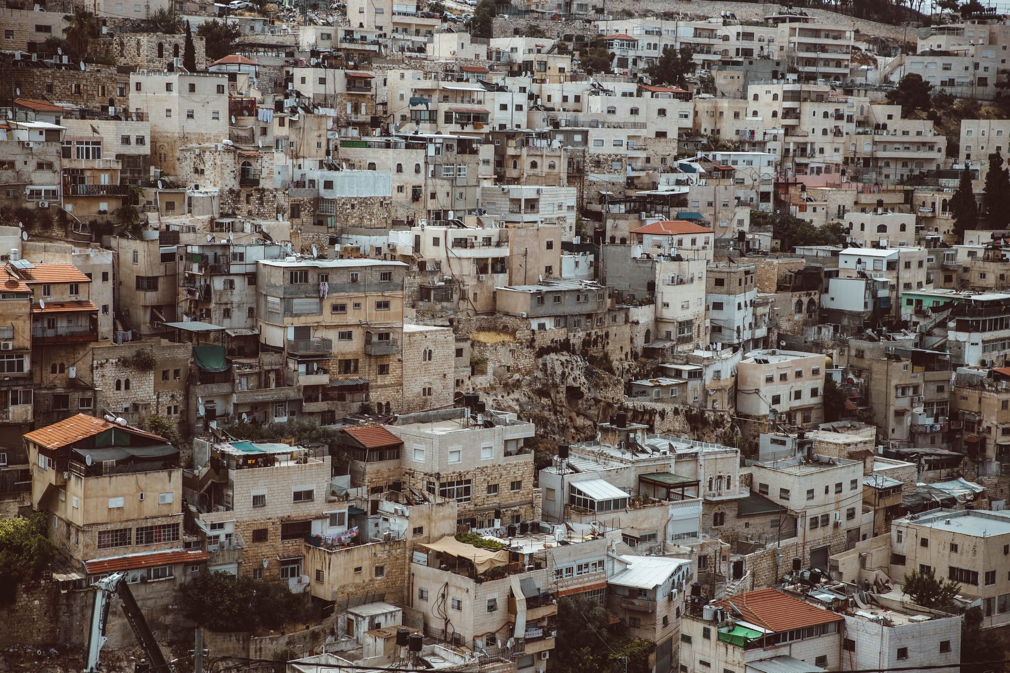 ירושלים שלי/מכון הרטמן