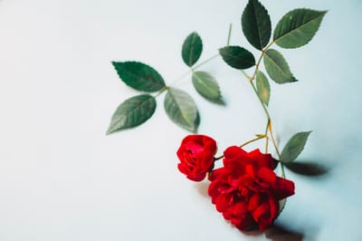 صبحية مع الرب