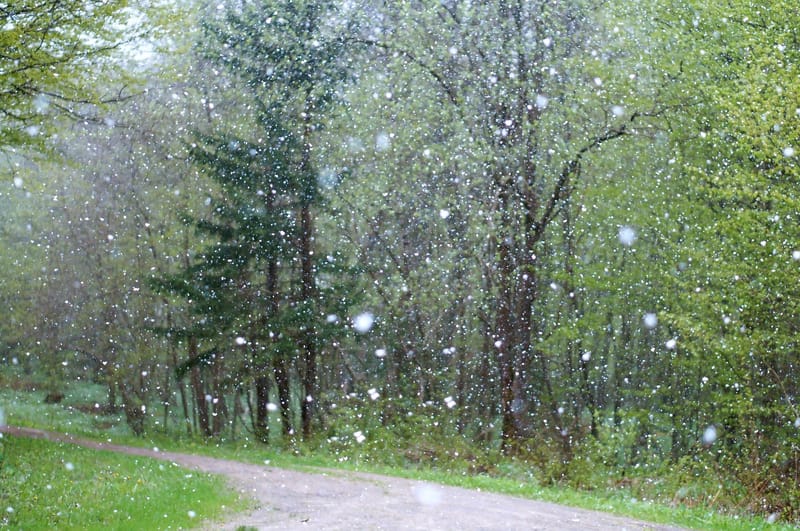 How Massage Helps Your Body Stay Strong During the Wet Season