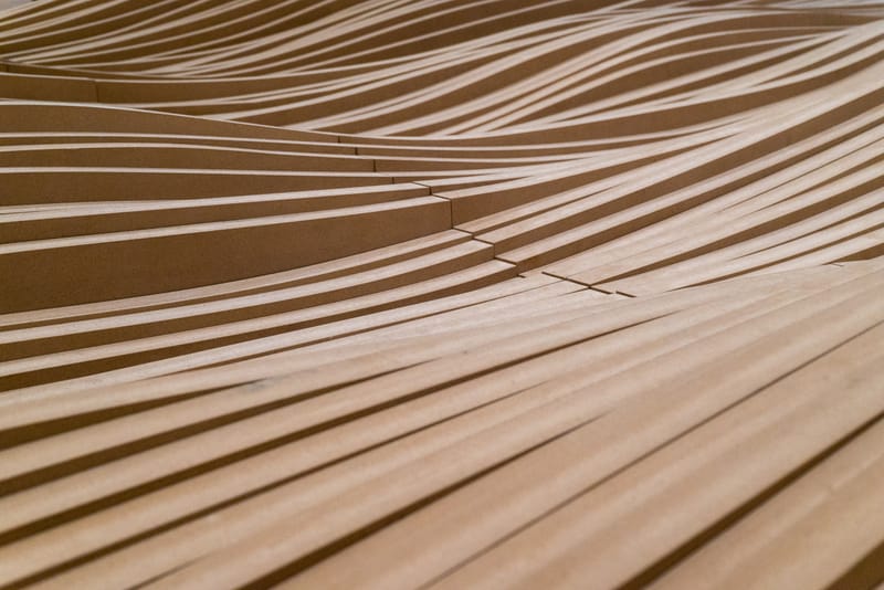 Inducing Moldable Wood Through Delignification (Part 1)