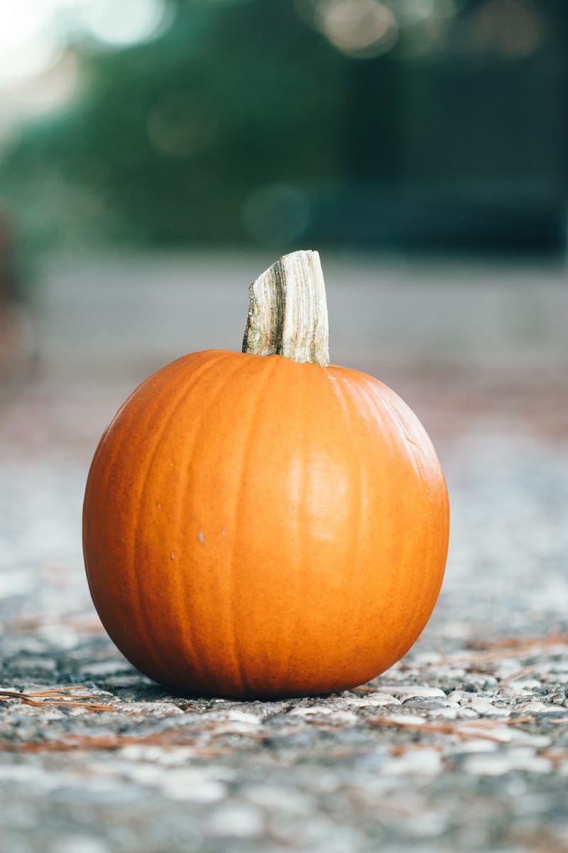 Calabaza a la plancha con salsa de queso