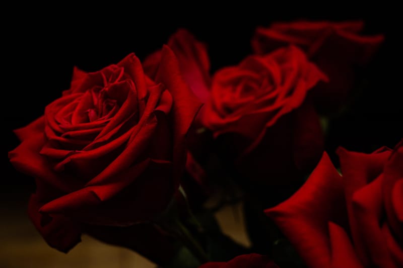 Bouquet de fleurs