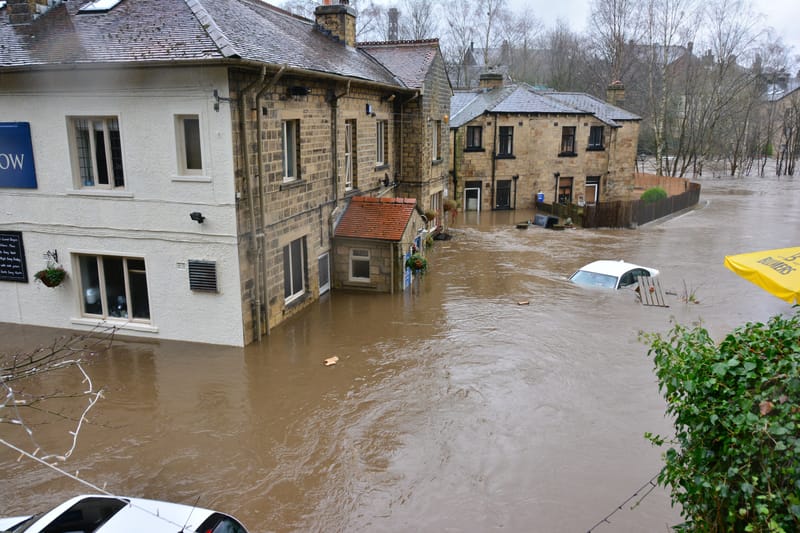 DISASTER MANAGEMENT