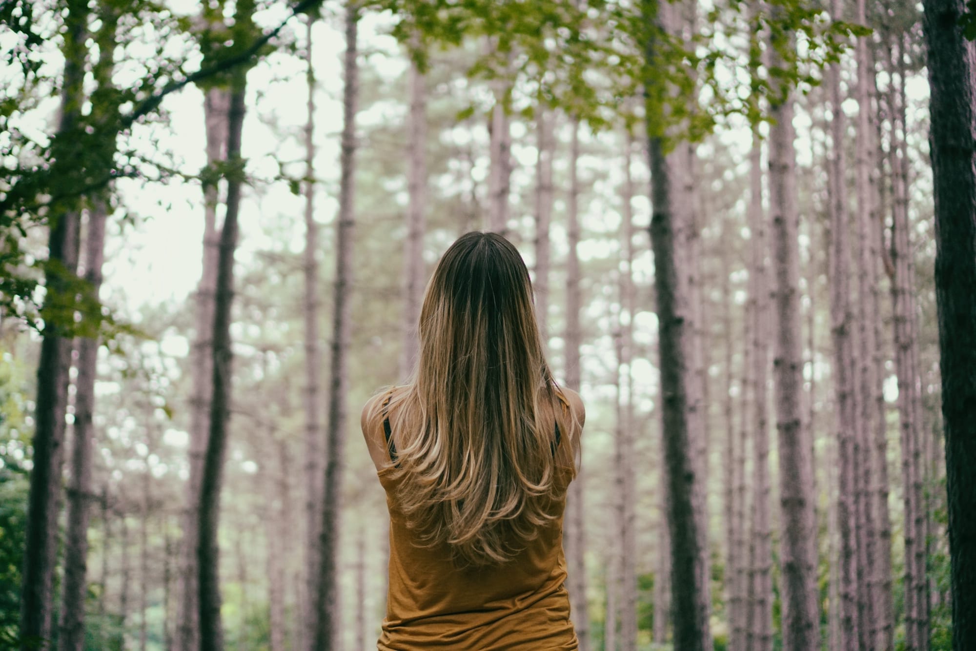 Qui e ora: non solo meditazione