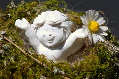 6 Tips for finding optimism
