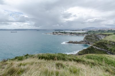 LES PLANTES DE LA MENOPAUSE