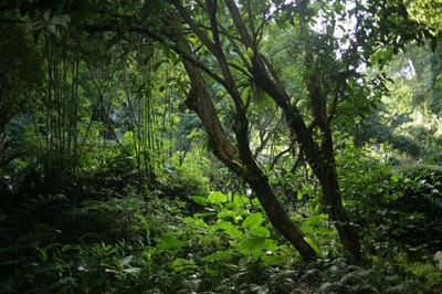 Trails for Every Explorer: