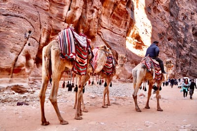 About PETRA &amp; JORDAN image