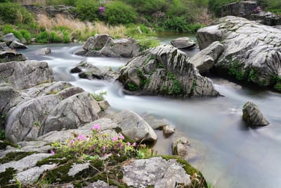 Ημέρα Καθαρισμού Αυστραλίας 2024