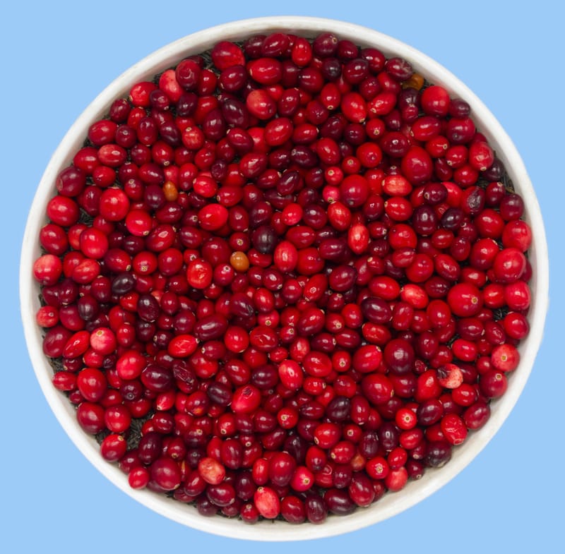 Antioxidant