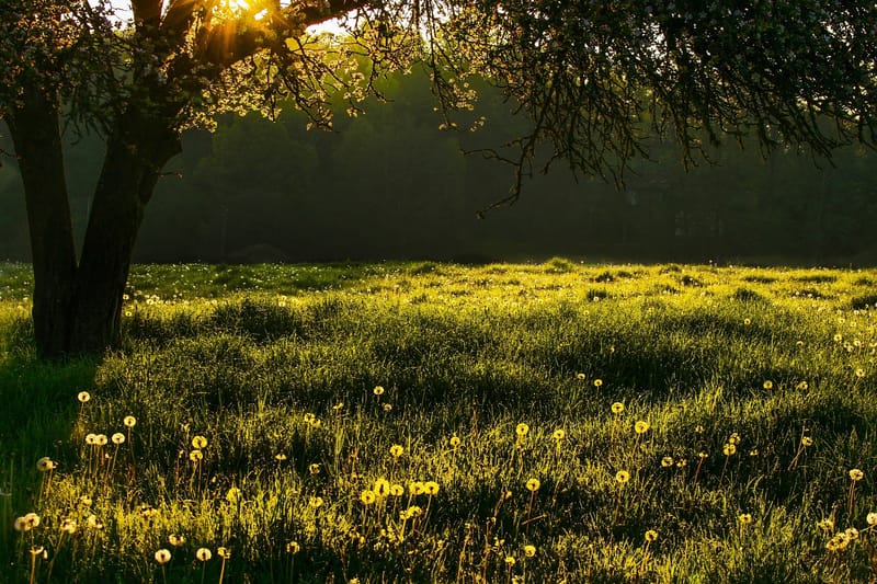 Seasonal changes in ayurveda