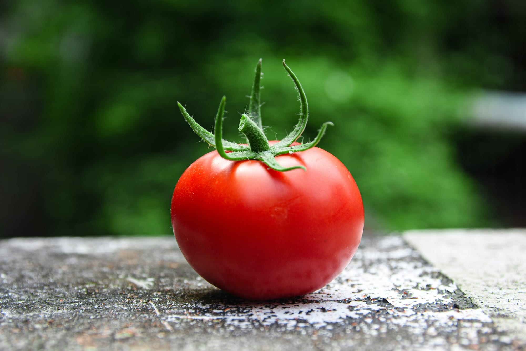 8) Tomates a campo y bajo cubierta