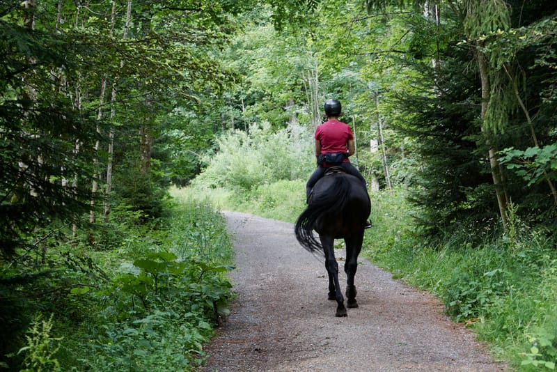 Horse riding