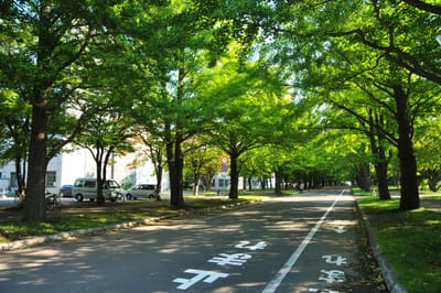 Program image