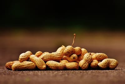 O que seu cérebro ganha quando você come amendoim