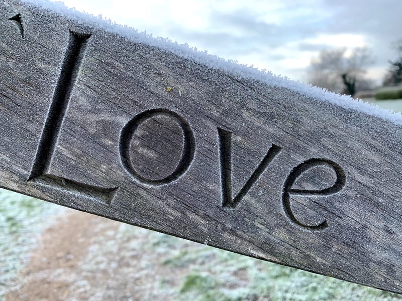 Votre joie , votre bonheur (4)