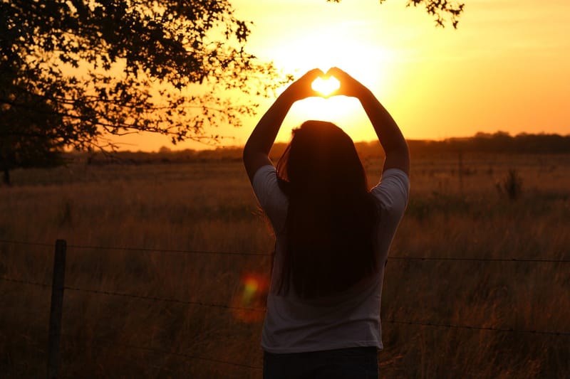 Resiliencia Organizacional