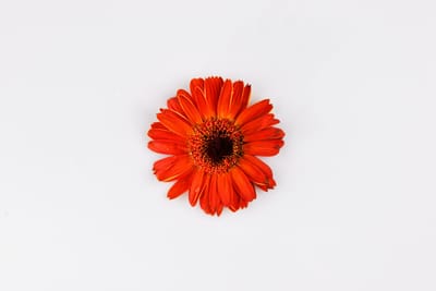 صبحية مع الربّ