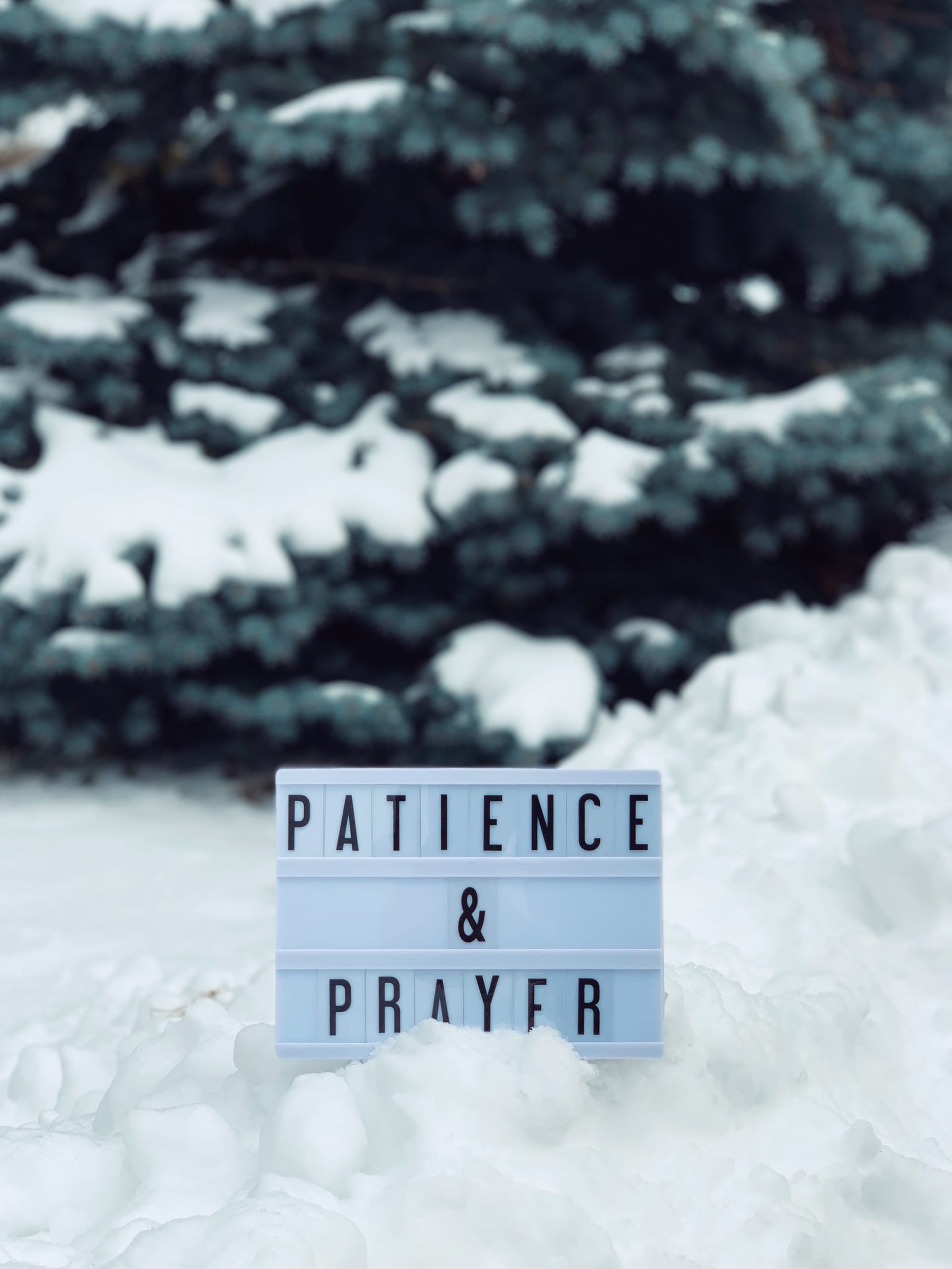 Feb 25: HAVE PATIENCE