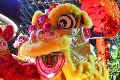 The Chinese New Year image