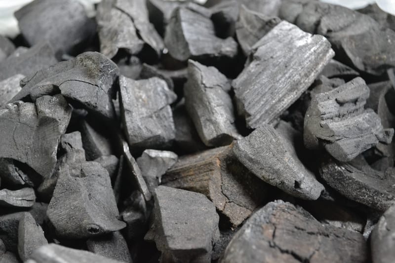 Biochar, the secret to the Amazon forest