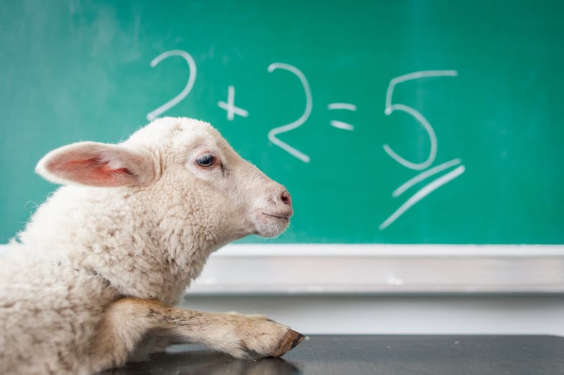 Mathematics Group Tuition