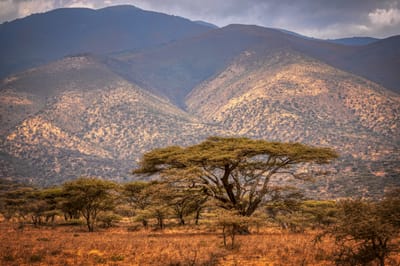Hauptsache warm? Gasbohrungen in Afrika