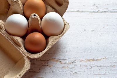 Keto Egg Fast, My Results!
