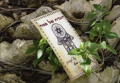 רעיונות קצרים בהלכה ומחשבה על סימני הסדר