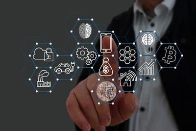 NEURAL PATHWAYS in the BRAIN