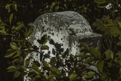 WITCH DOCTOR IN VIETNAM