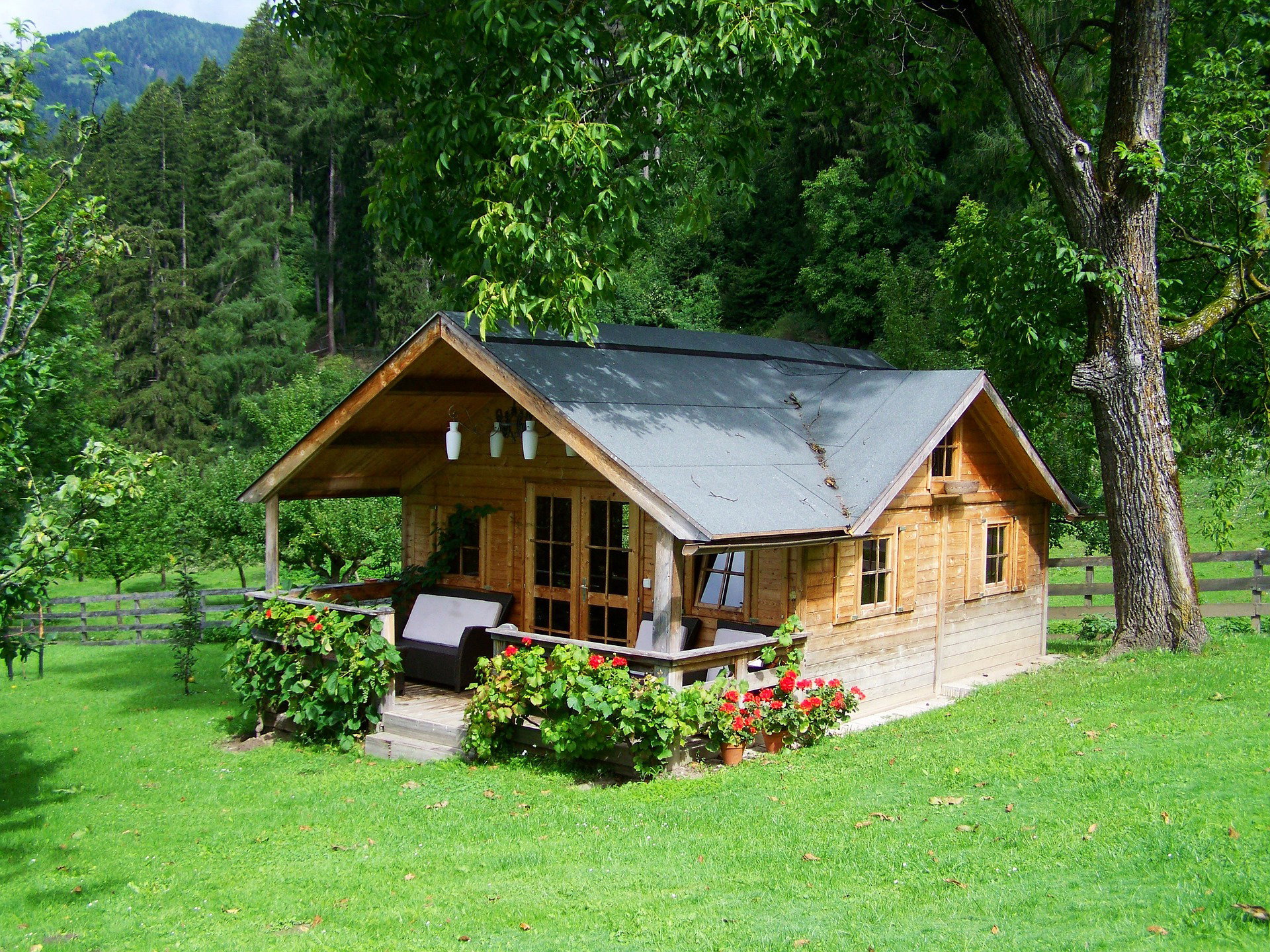 Creating Comfort and Simplicity: Your Guide to Modern Tiny Home Living in California