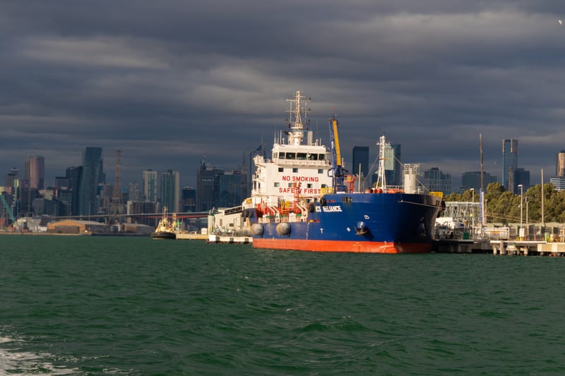 שיווק ויבוא