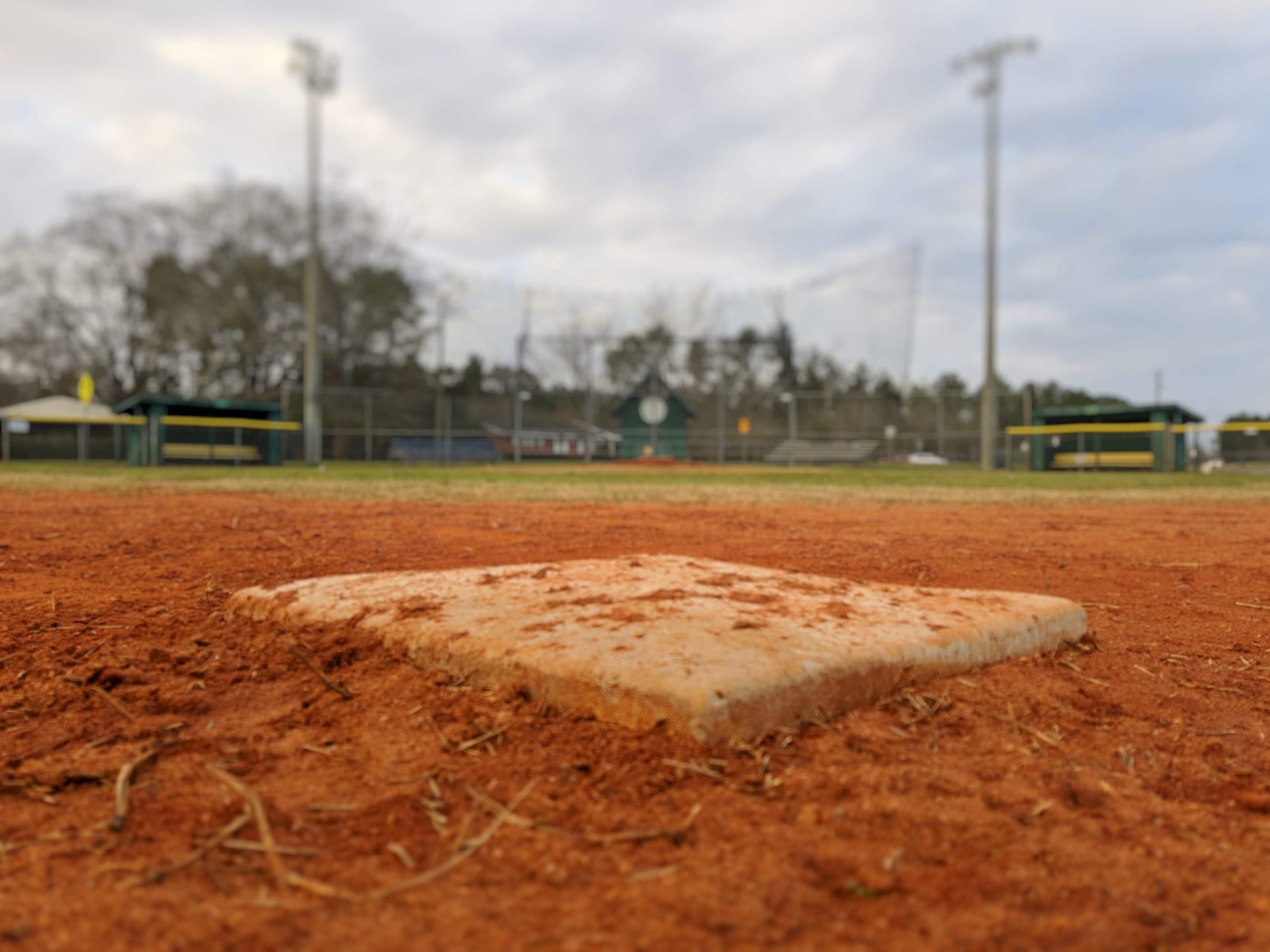 Midwest Baseball Stars Steal The Show