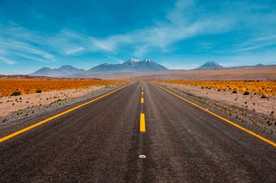 Travel In Pregnancy