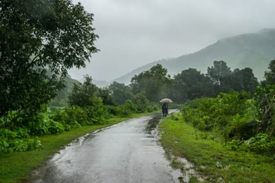 Understanding How the Rainy Season Can Affect Your Purchase