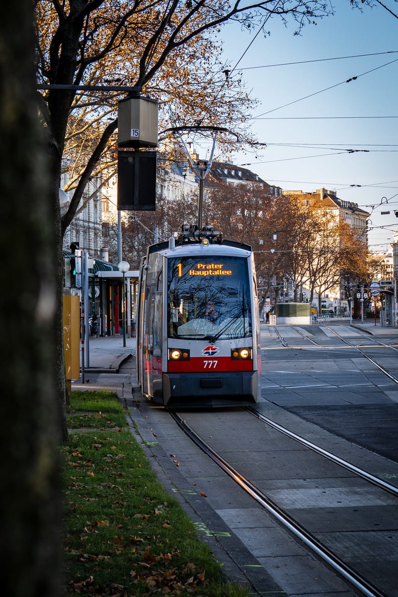 Looking for  accompanying persons for Tram 18