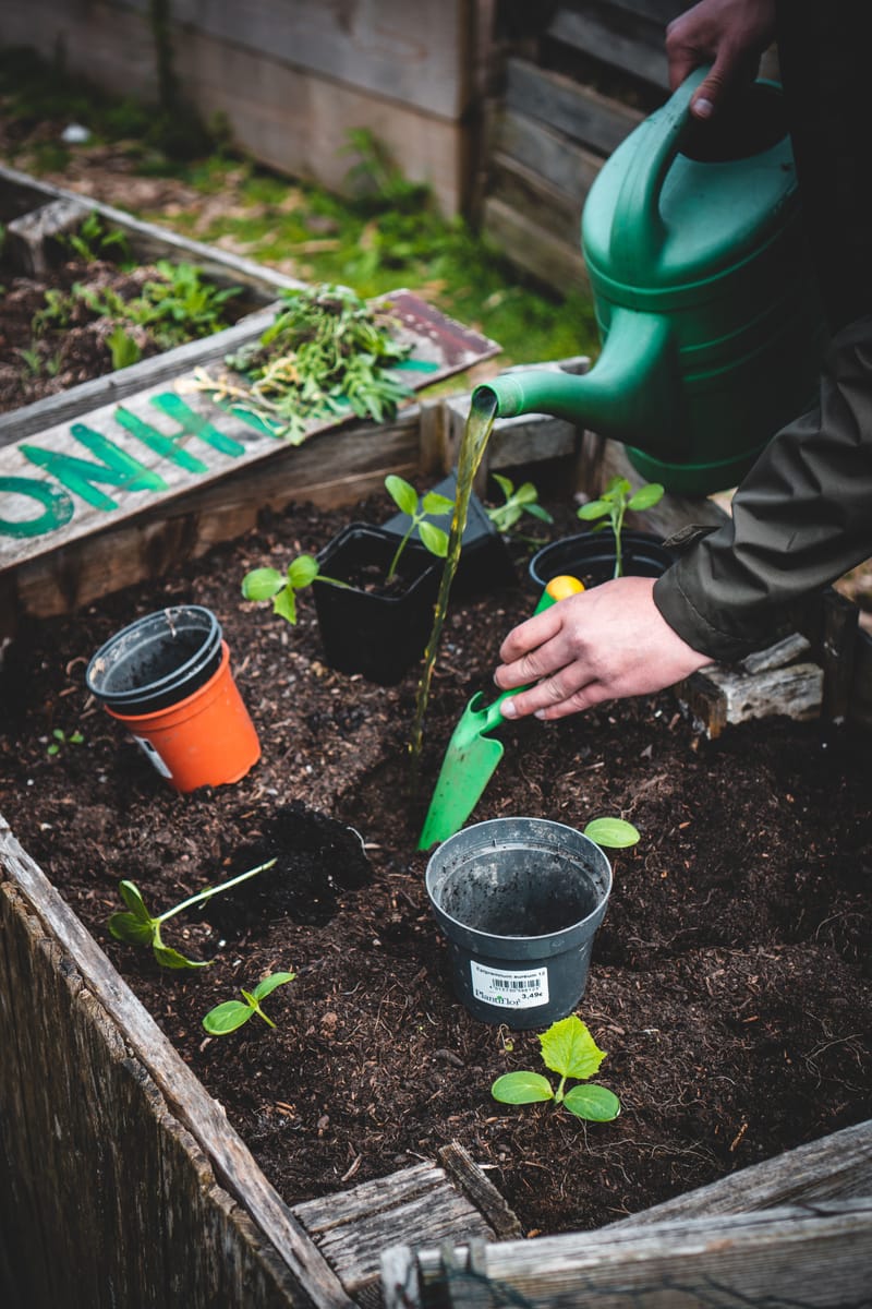 Curso de Jardinería