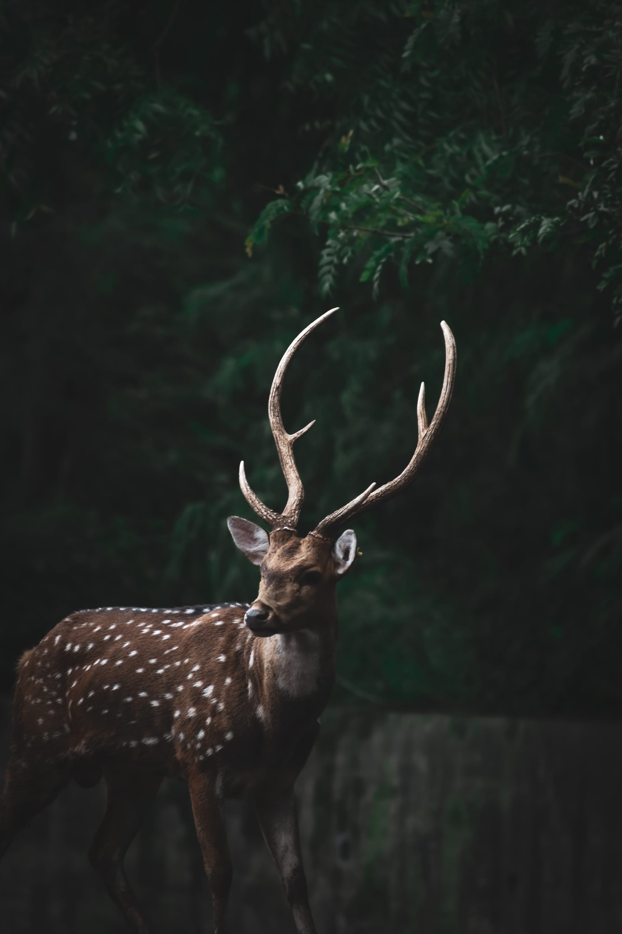 Sacred Conversations