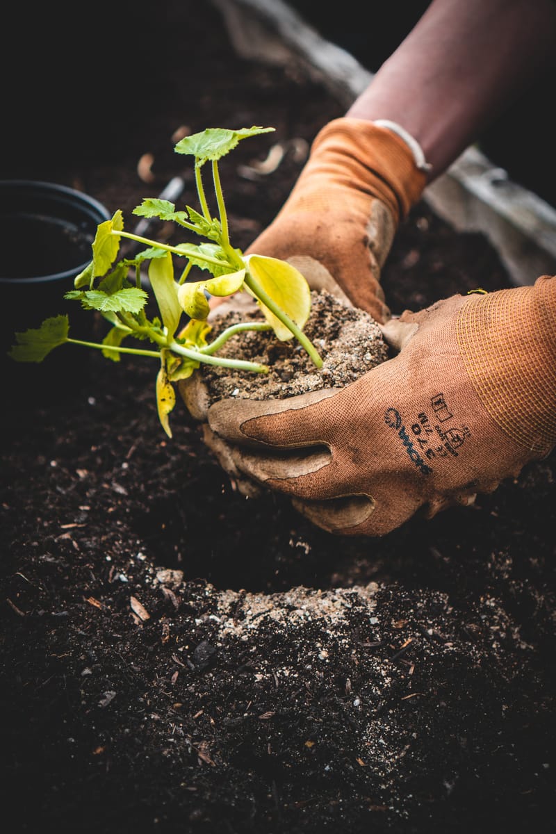 Gardening Services